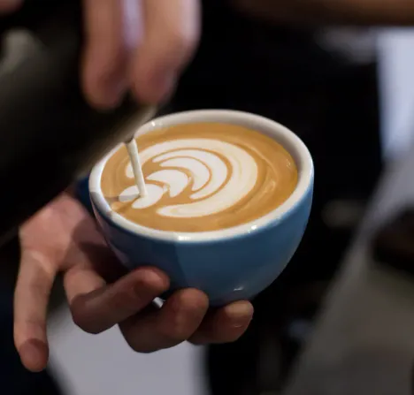 Unlocking sales and conversions with a Shopify refresh