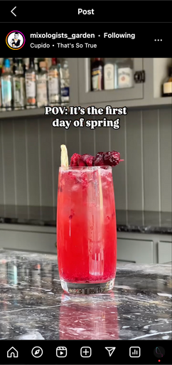 A red spring cocktail sits on a dark marble countertop. The drink contains raspberries and is garnished with a lemon slice and mulberry. It's in a tall glass, in a kitchen setting. POV: It's the first day of spring.